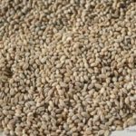 Loona veski kaerakruup 1kg öko