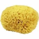 Croll & Denecke Natural Sponge