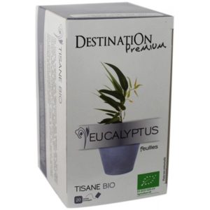 Destination Eucalyptus Tea 20x1,5g