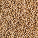 Loona veski nisuterad 1kg, öko