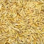 Loona veski kestaga kaeraterad 1kg