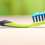 Yaweco pehmete nailonist harjastega hambahari