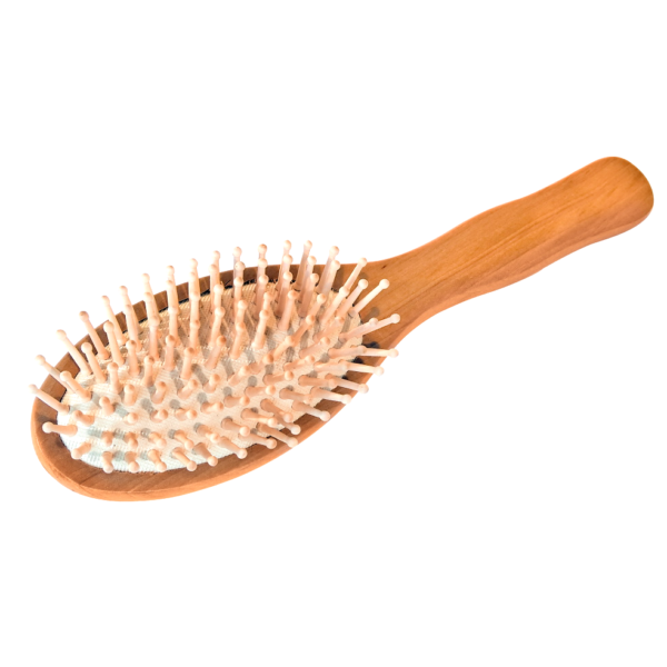 Croll & Denecke Oval Hairbrush with Wooden Knobs