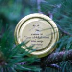 Enekun Tugev metsahaldjasalv männi, ürtide, mee ja taruvaiguga