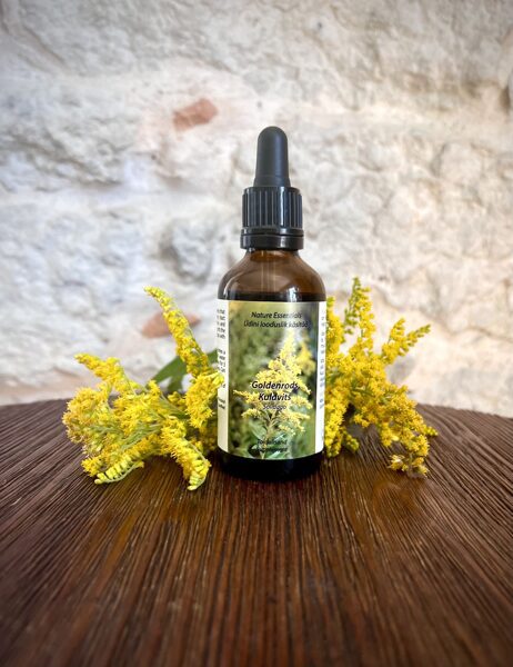 Kuldvitsa tinktuur neerudele 50 ml