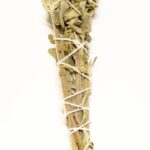 Salvei tõrvik ca 16cm väike