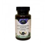 Mustköömneõli kapslid 300mg 100tk