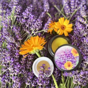 Lavendeli-saialille salv 60ml