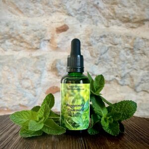 Piparmündi tinktuur 50ml