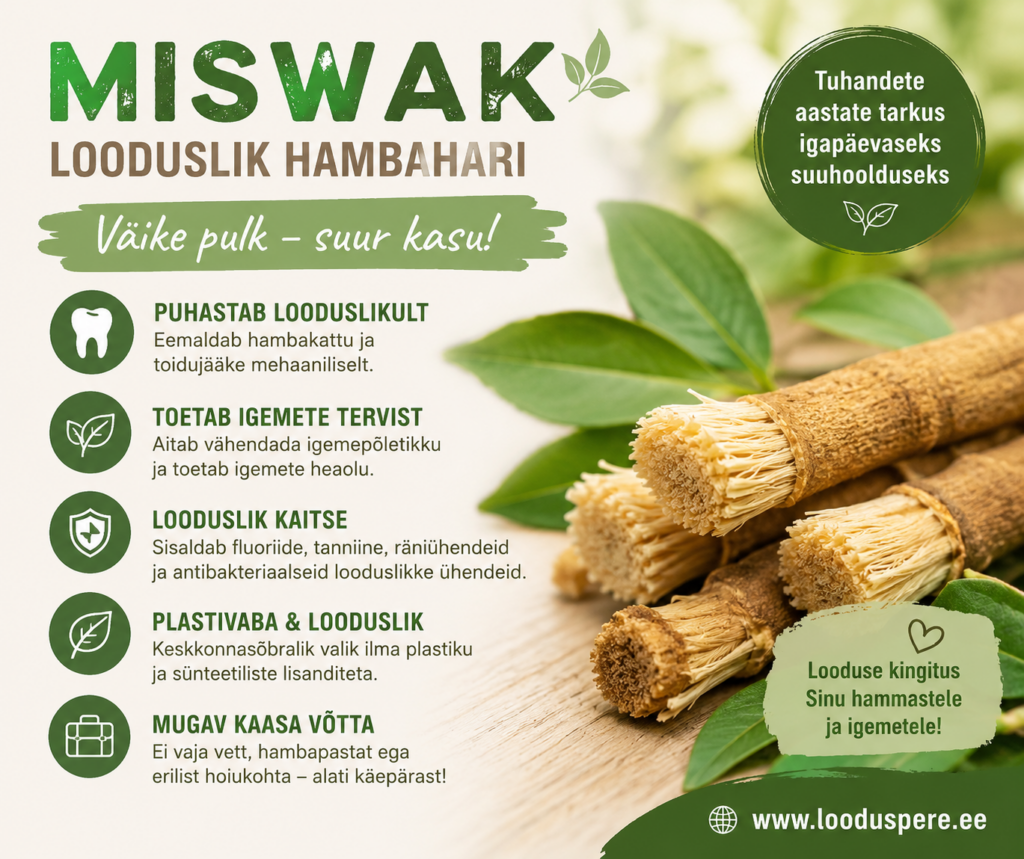 Miswak – looduslik hambahari hammaste ja igemete hoolduseks
